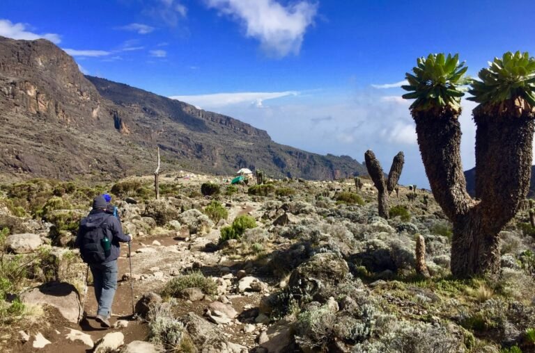 7 Days – Kilimanjaro Machame Route Adventure