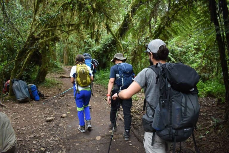 8-Day Kilimanjaro Lemosho Route Expedition